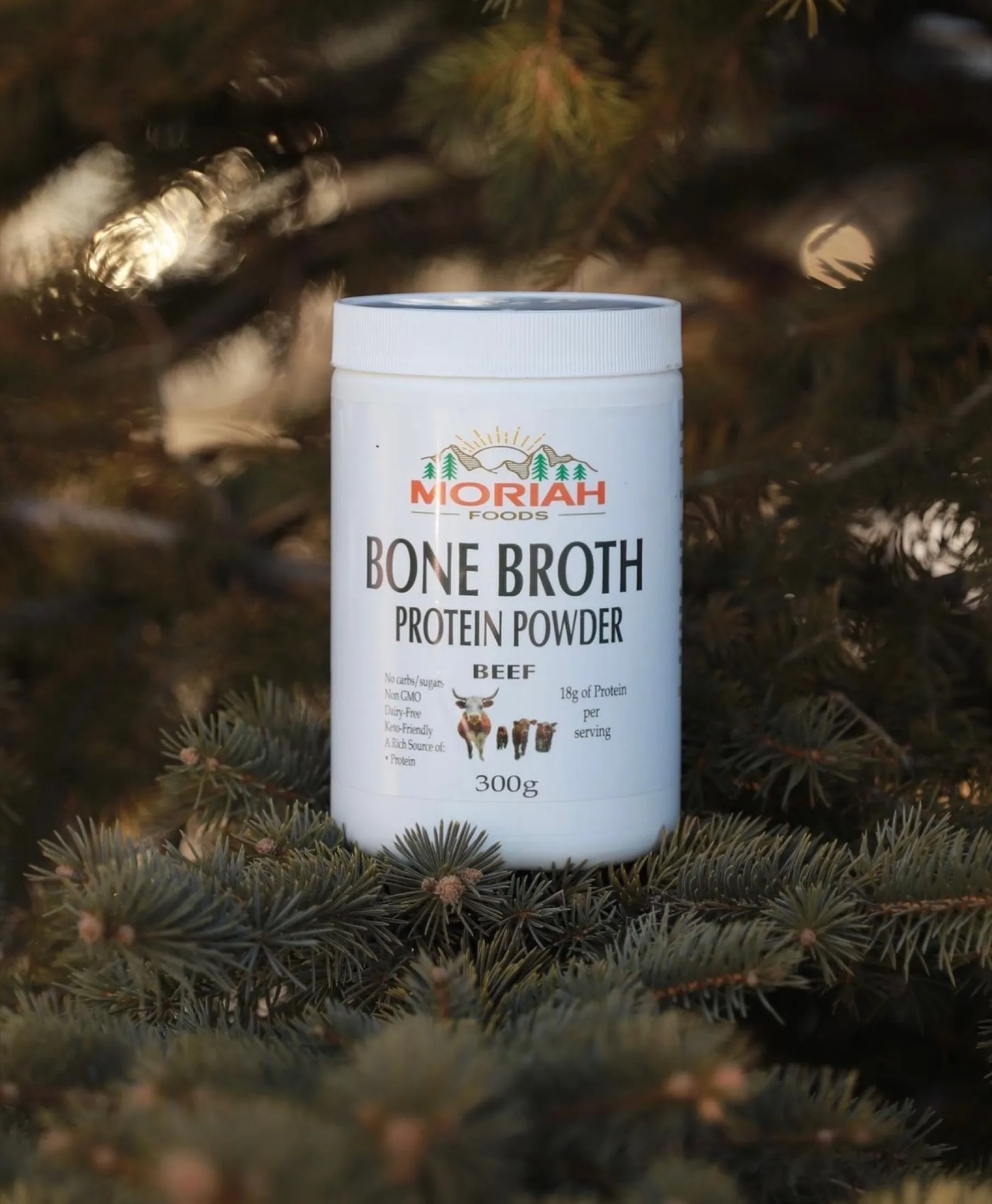 Bone broth protein powder jar styled on evergreen branches.